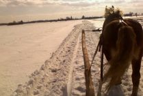 sleigh ride - Stable Borysiuk